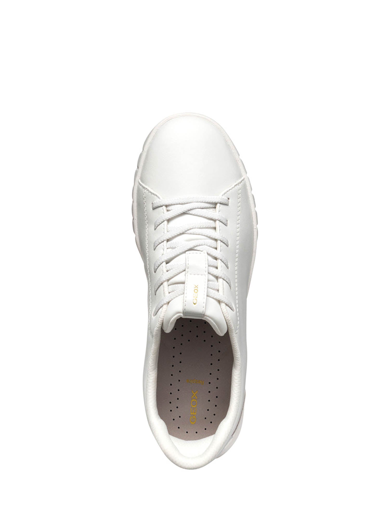 Sneakers Bianco Geox