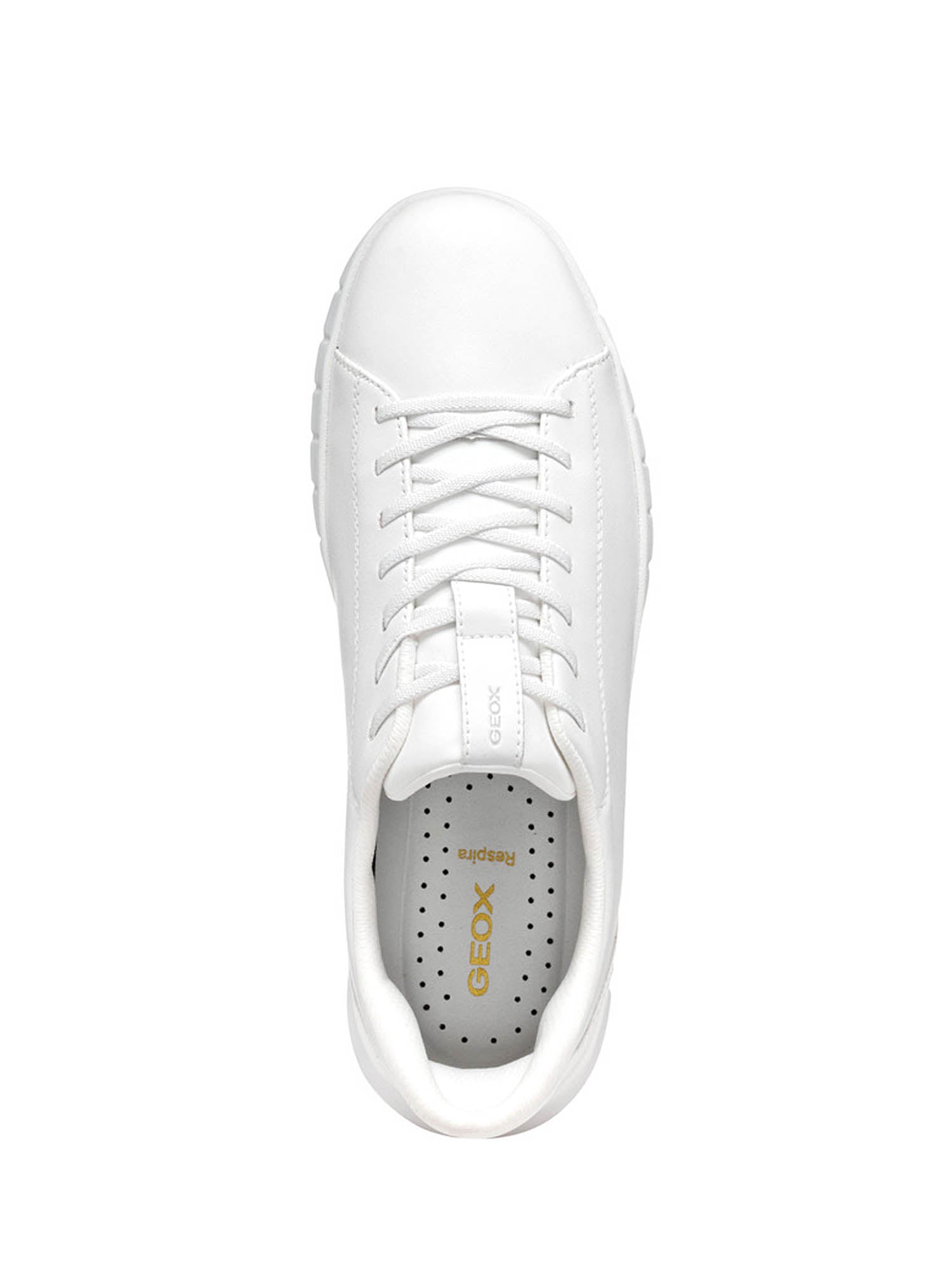 Sneakers Bianco Geox