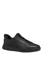 Sneakers Nero Geox