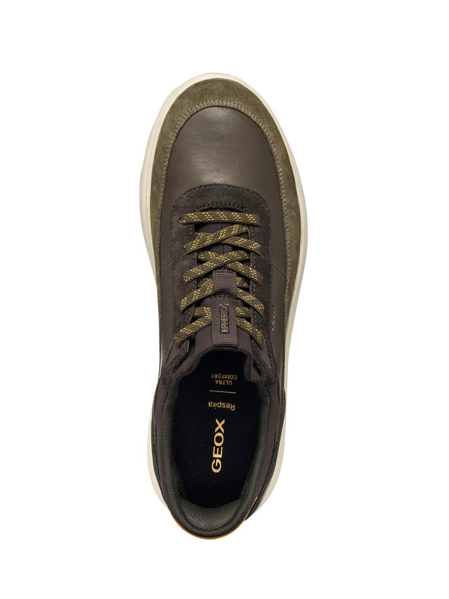 Sneakers Marrone Geox