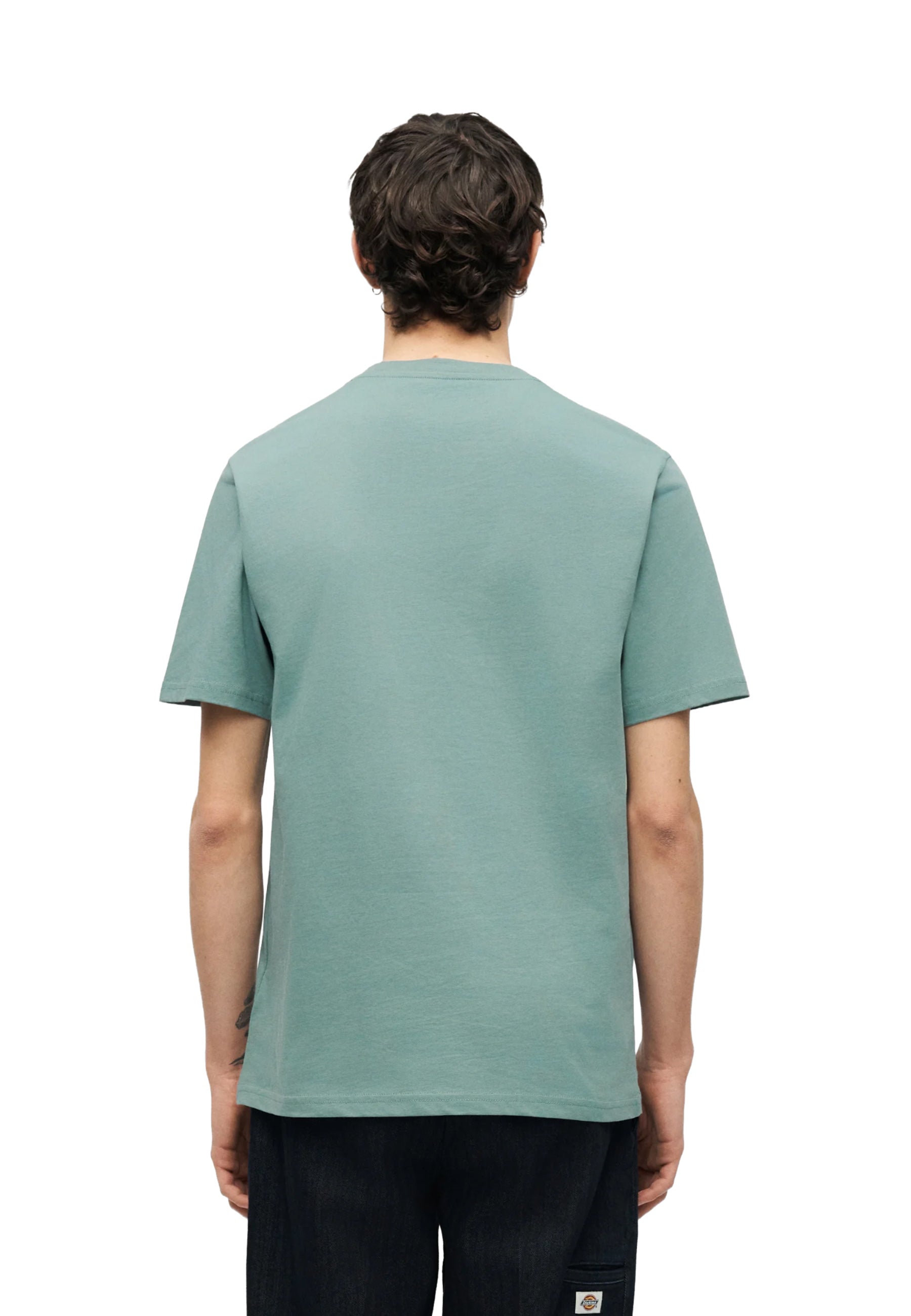 T-shirt Turchese Dickies