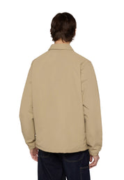 Giacche Beige Dickies