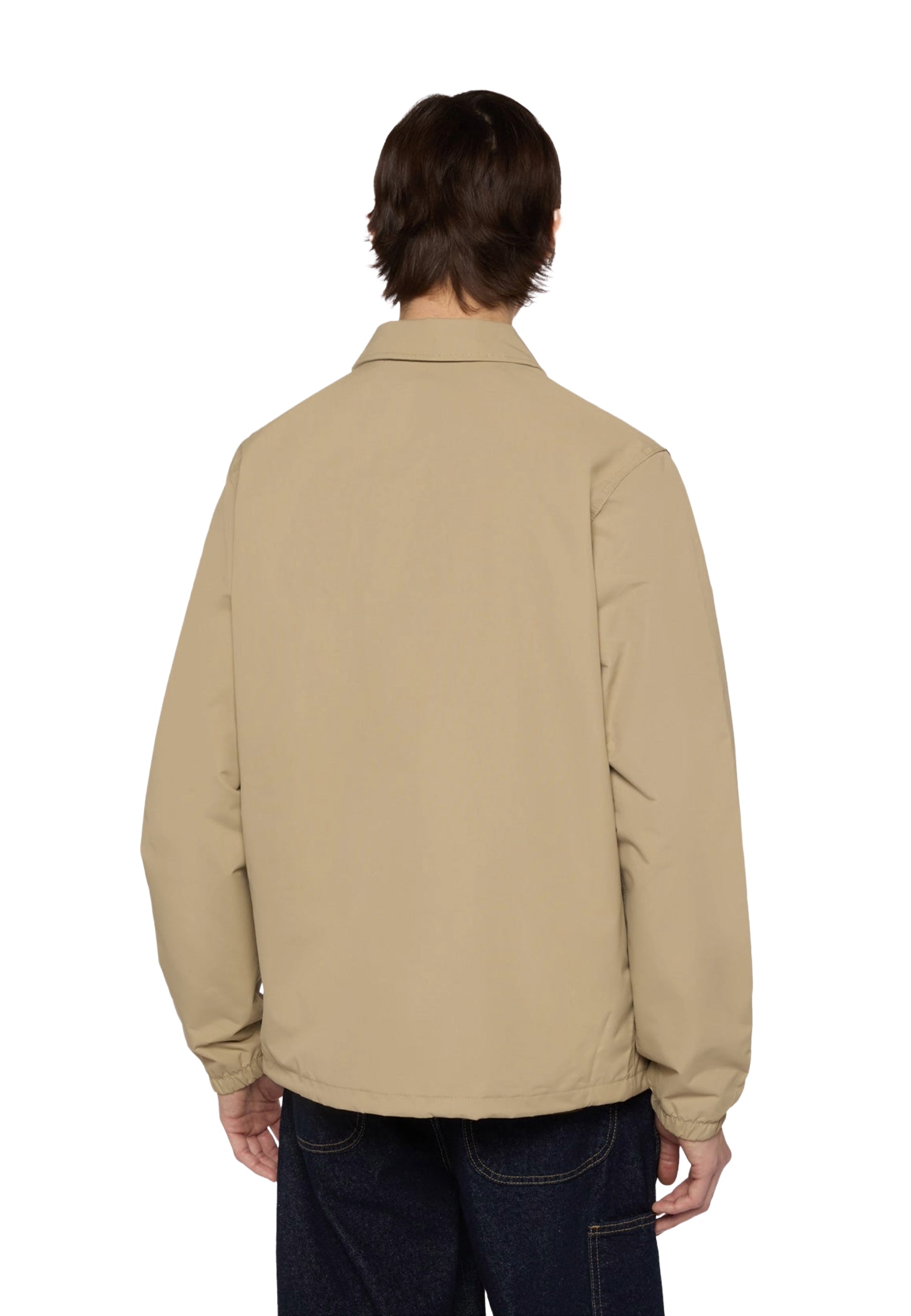 Giacche Beige Dickies