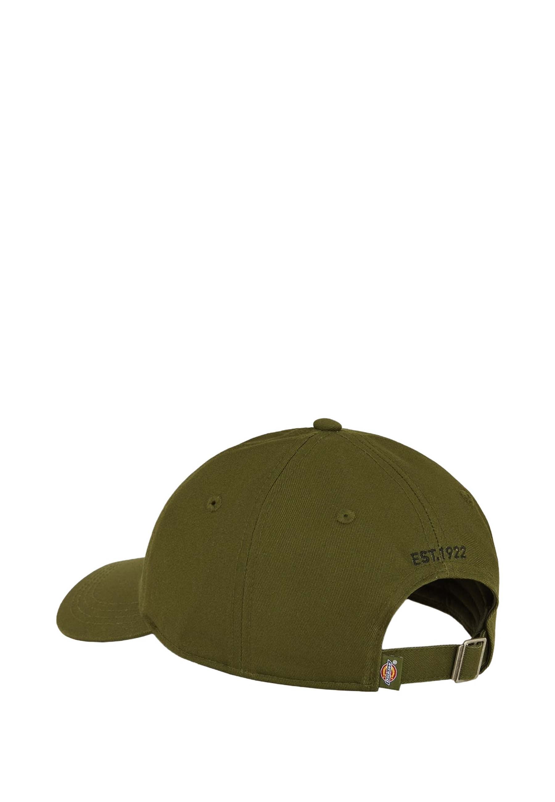 Cappelli Verde Dickies