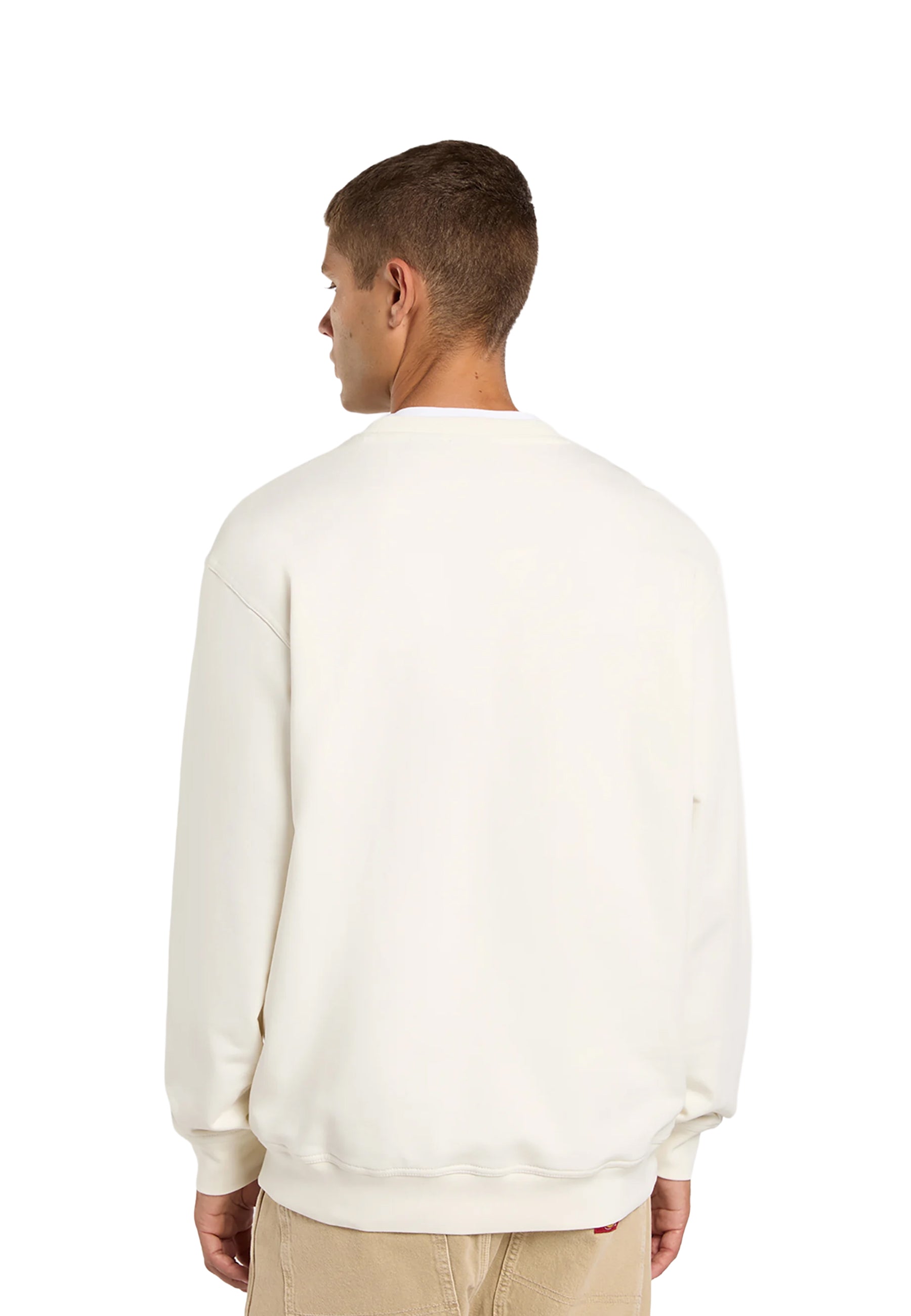 Felpe Avorio Dickies