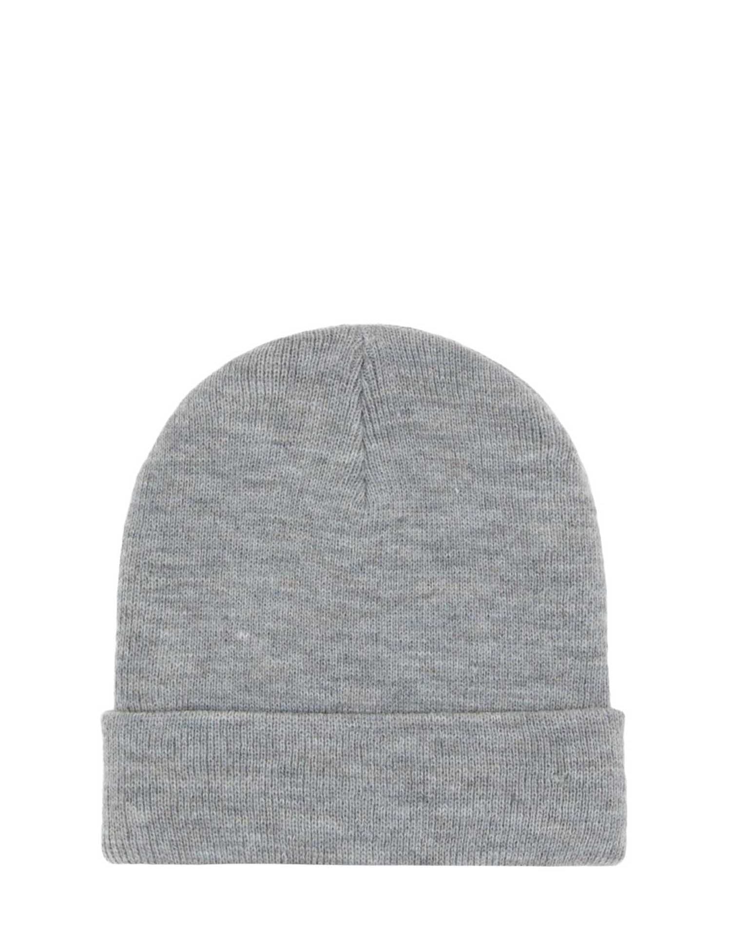 Cappelli Grigio Dickies