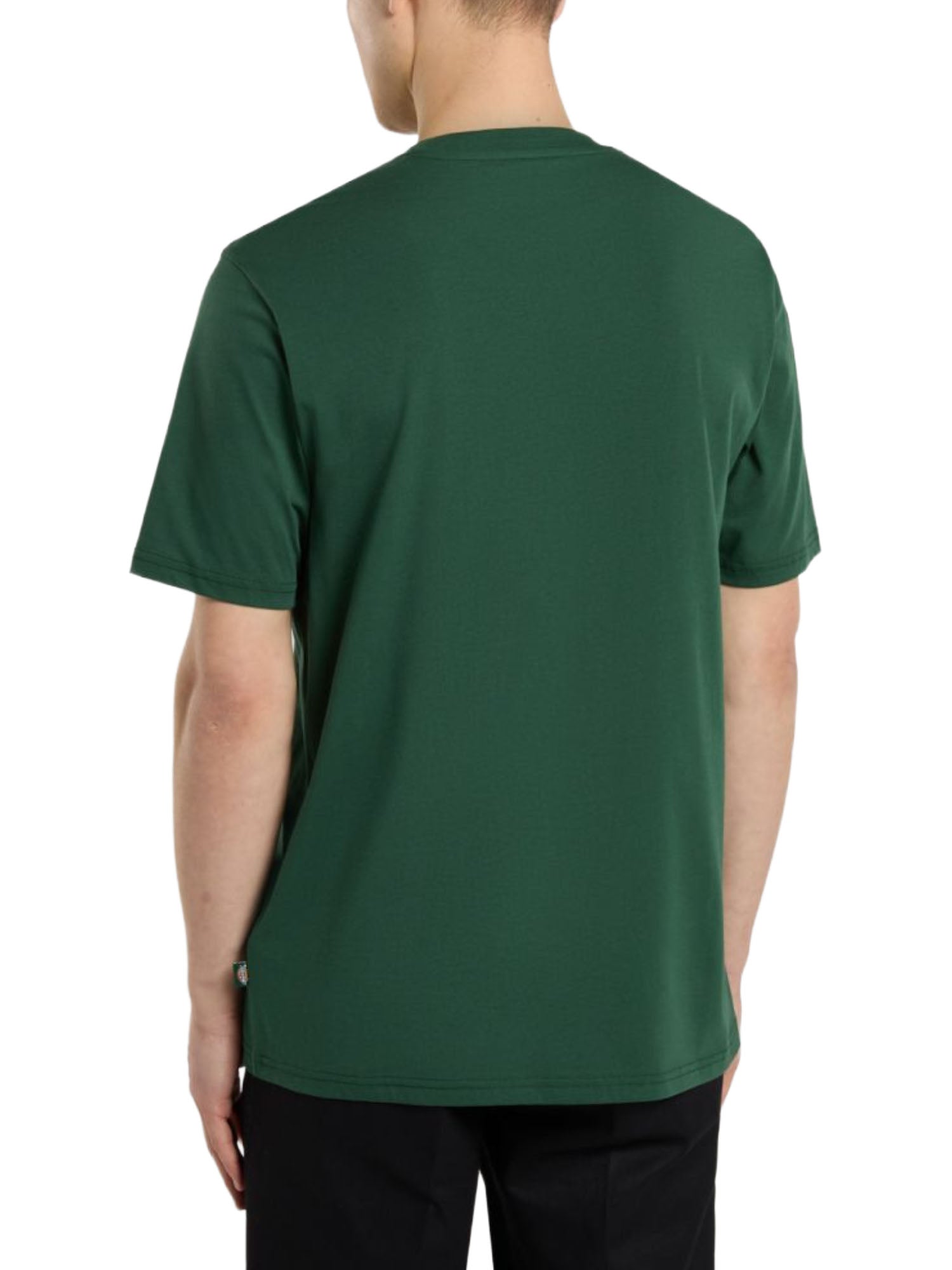 T-shirt Verde Dickies