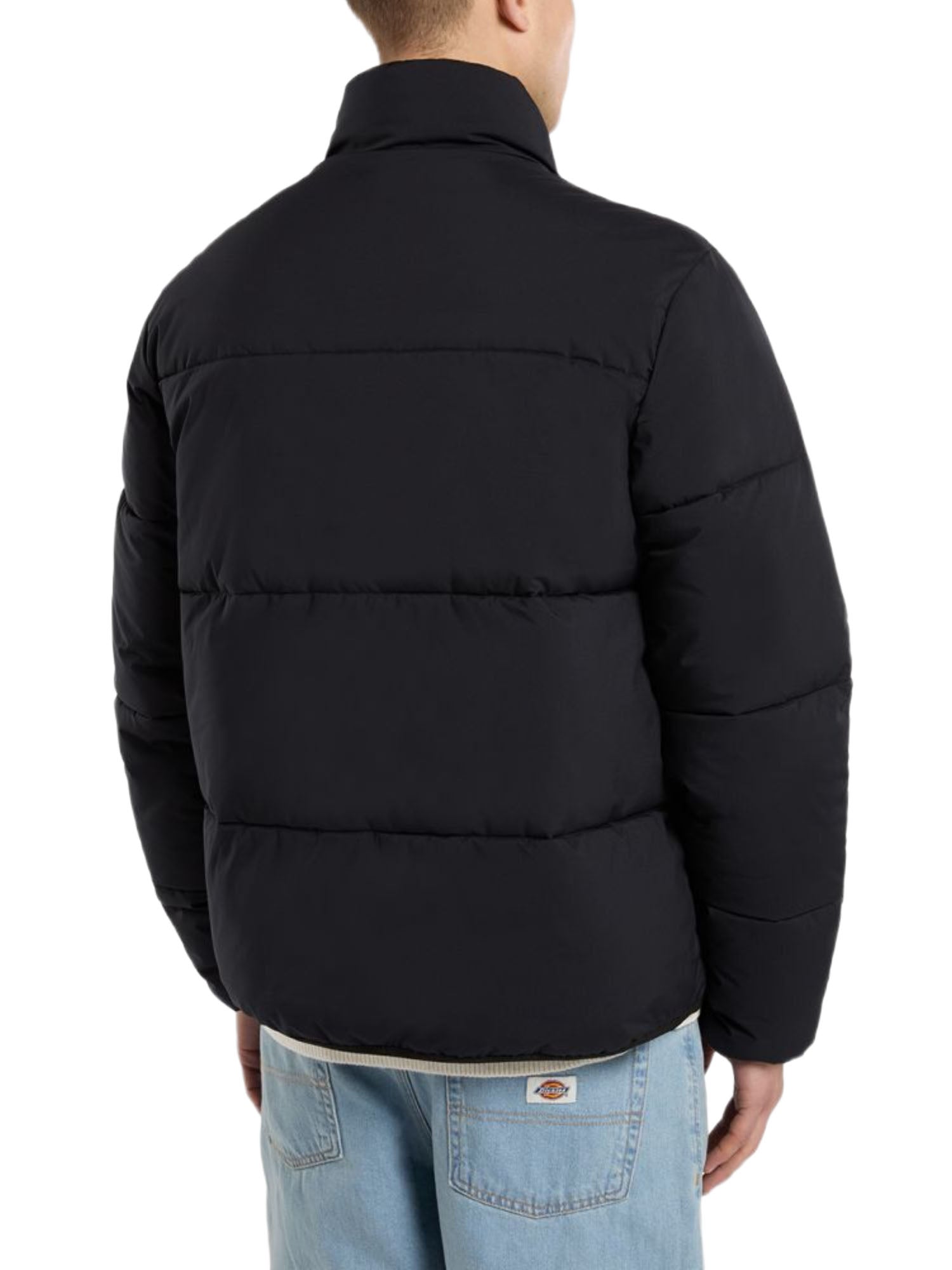 Piumini Nero Dickies