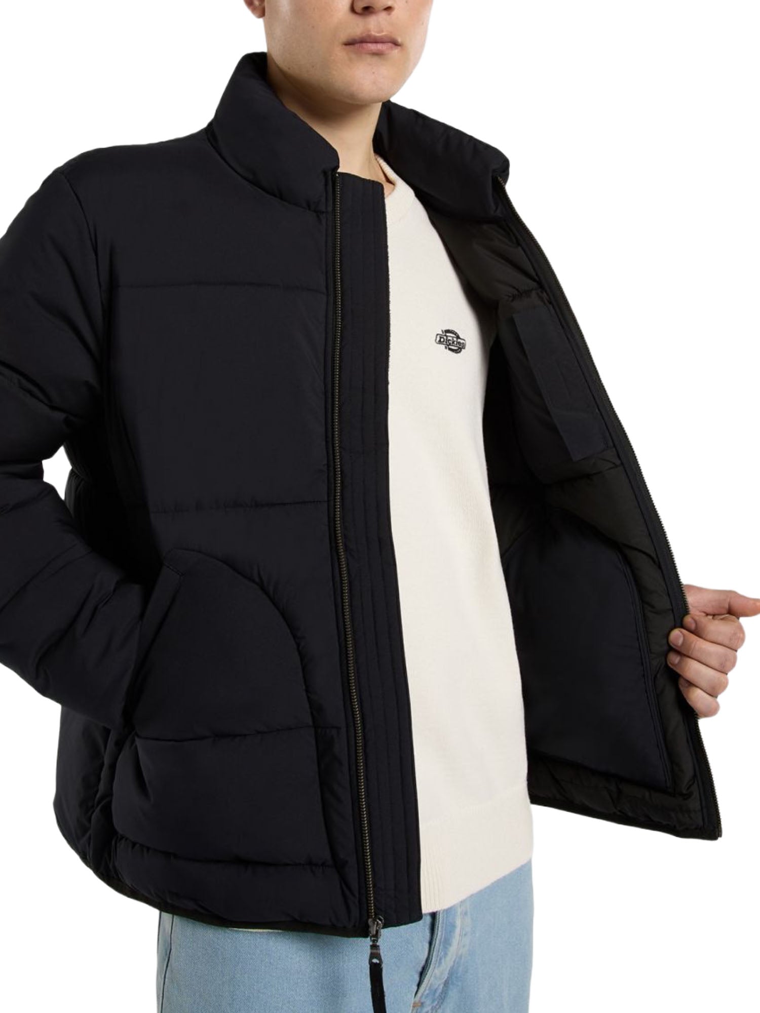 Piumini Nero Dickies