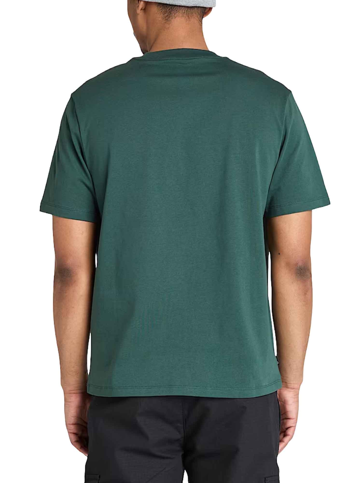 T-shirt Verde Timberland