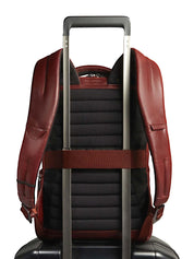 Zaini Marrone Piquadro