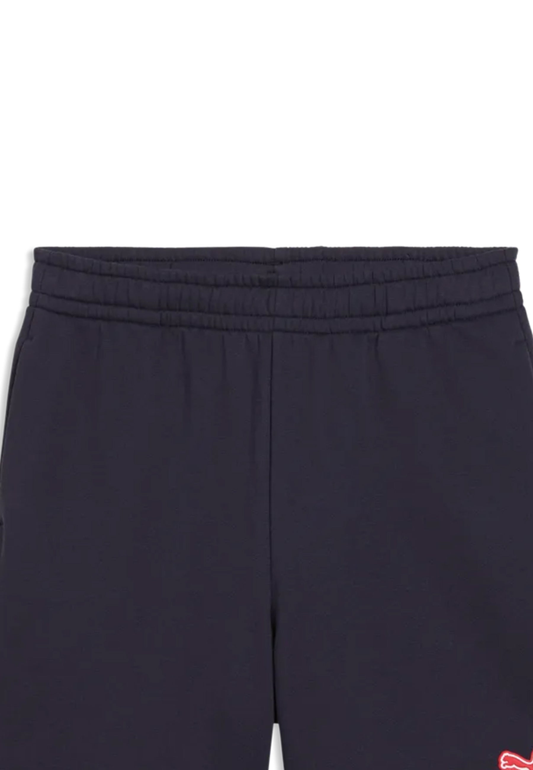 Shorts Blu Puma