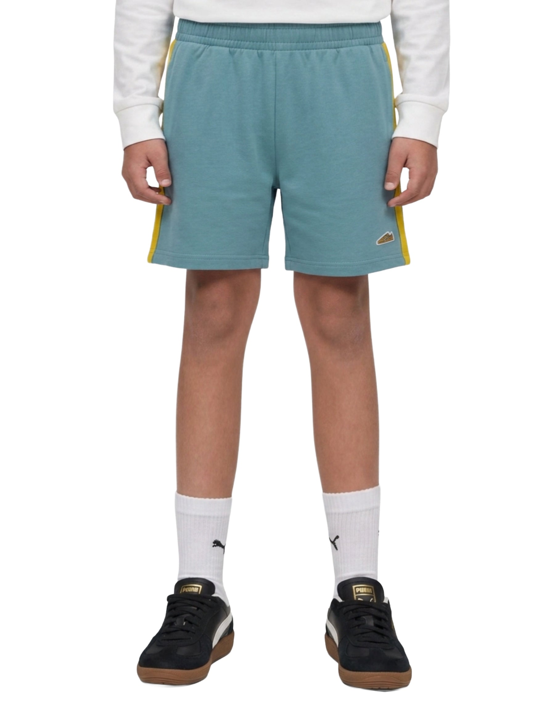 Shorts Blu Puma