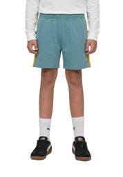 Shorts Blu Puma