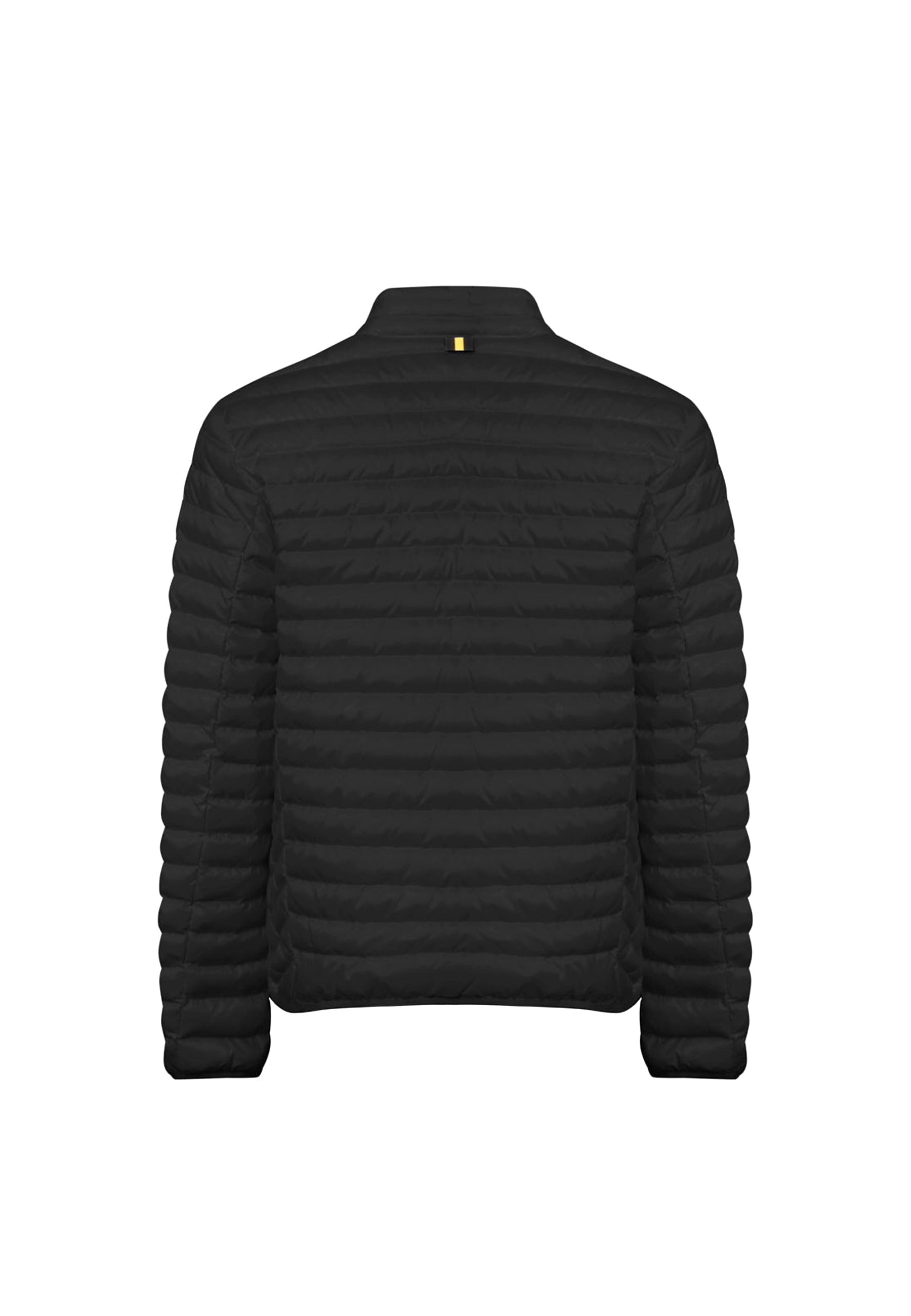 Piumini Nero Ciesse Piumini