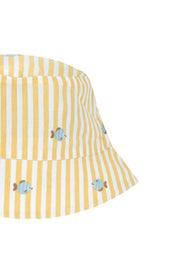 Cappelli Giallo Chicco