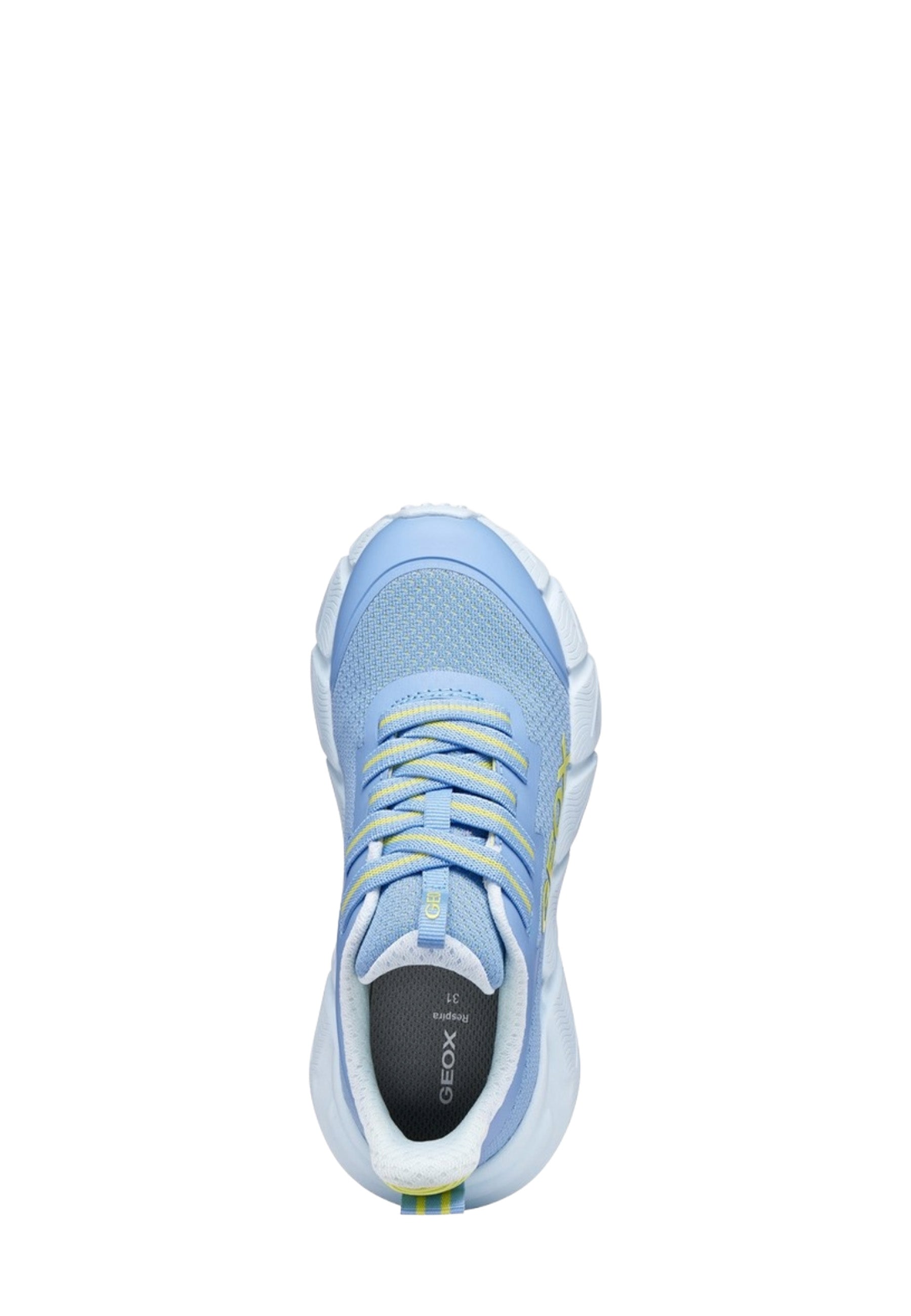 Sneakers Blu Geox