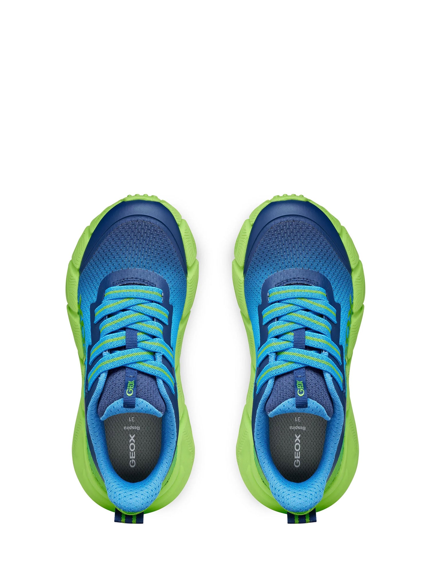 Sneakers Blu Geox
