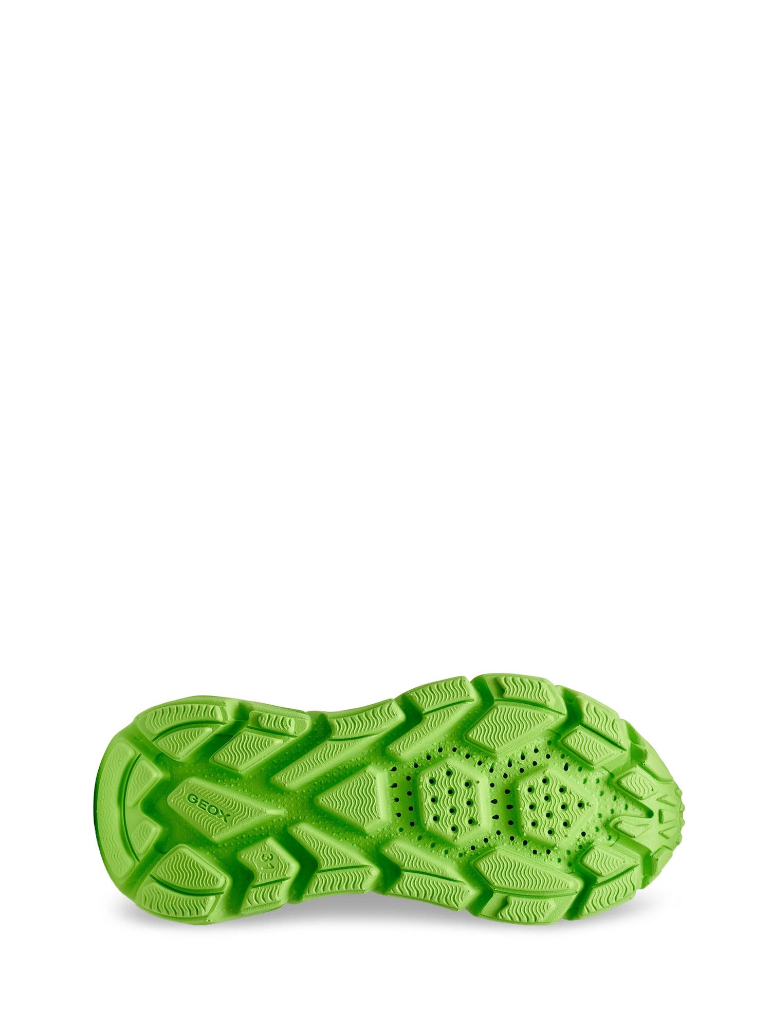 Sneakers Blu Geox