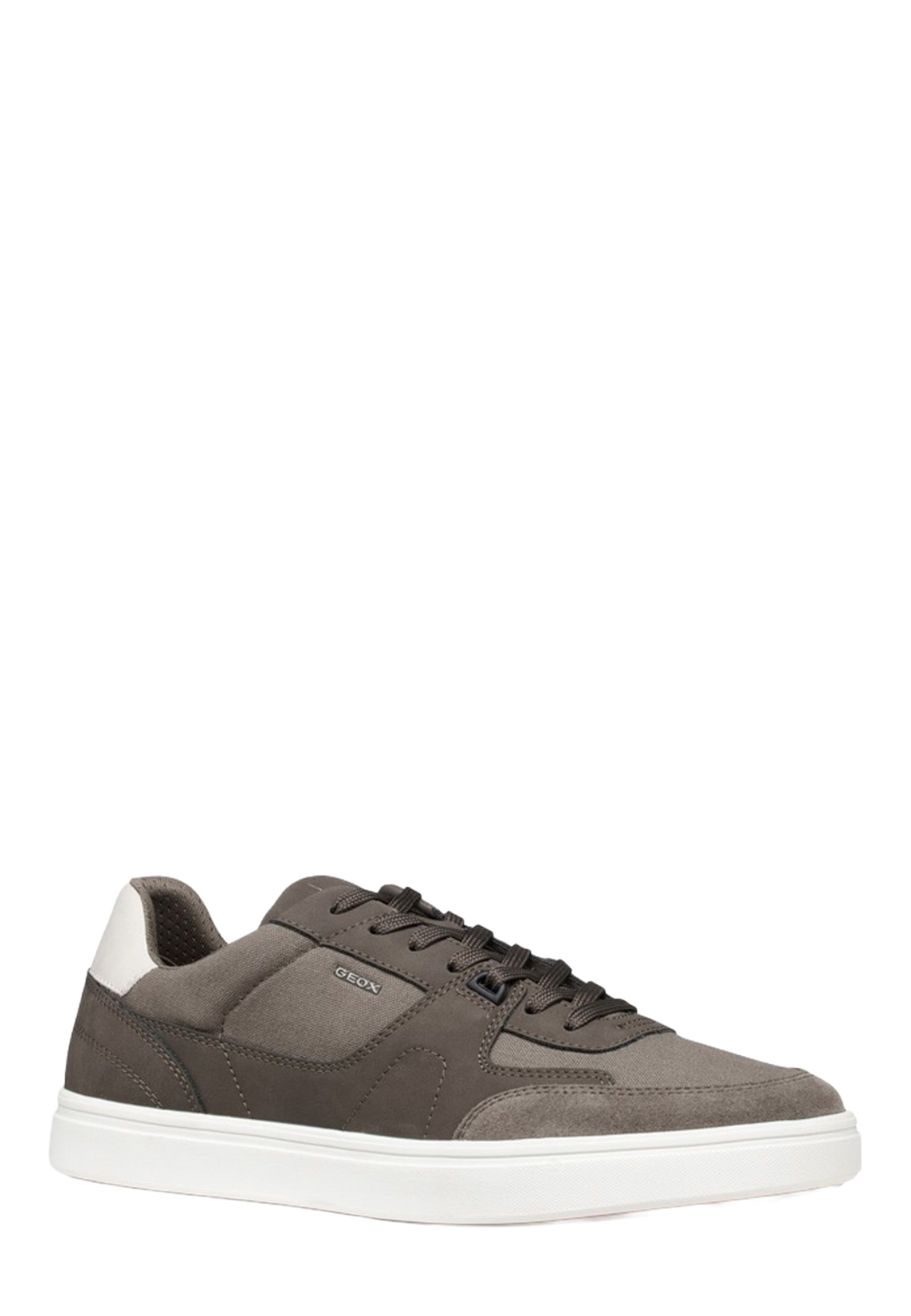 Sneakers Tortora Geox