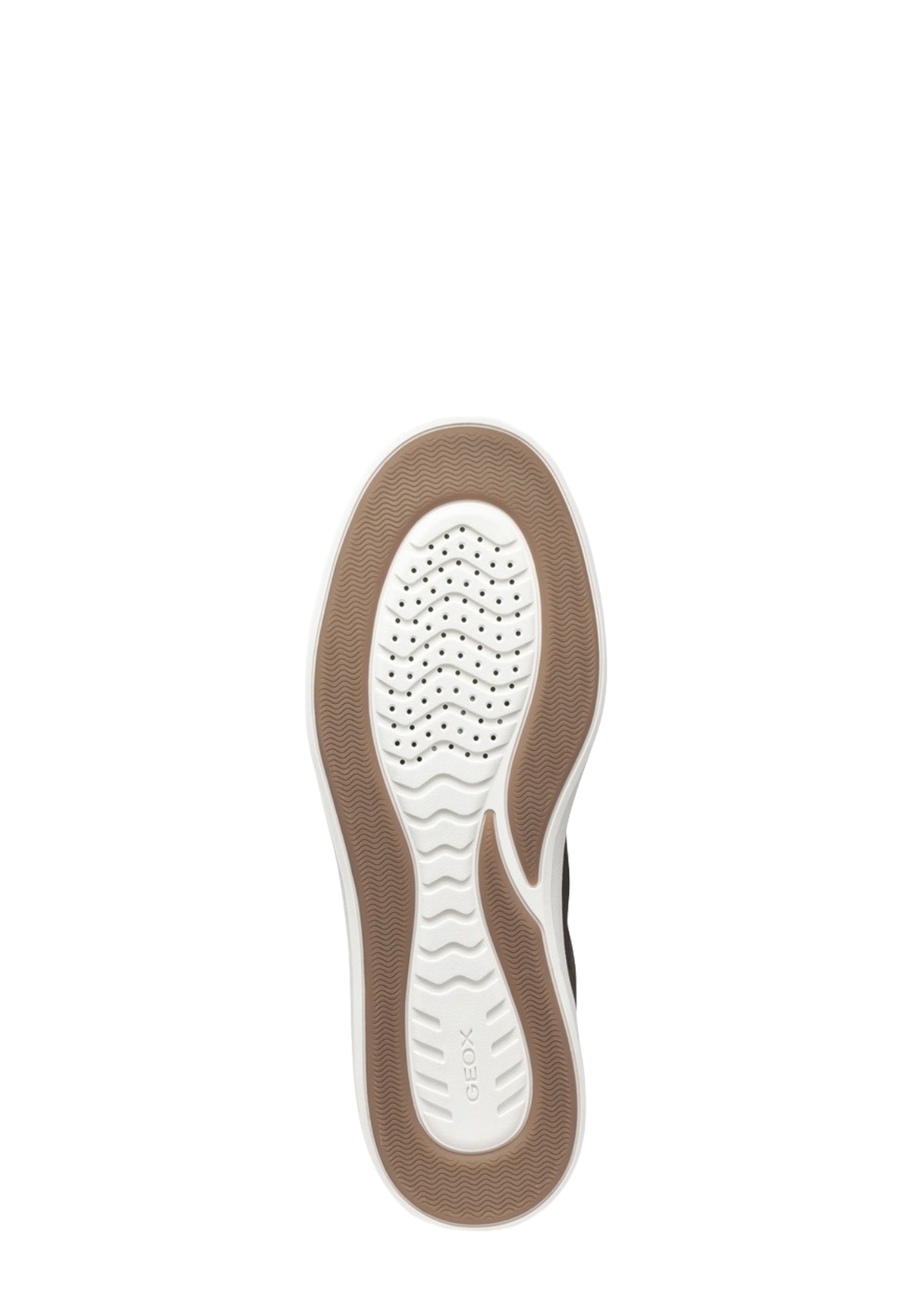 Sneakers Tortora Geox