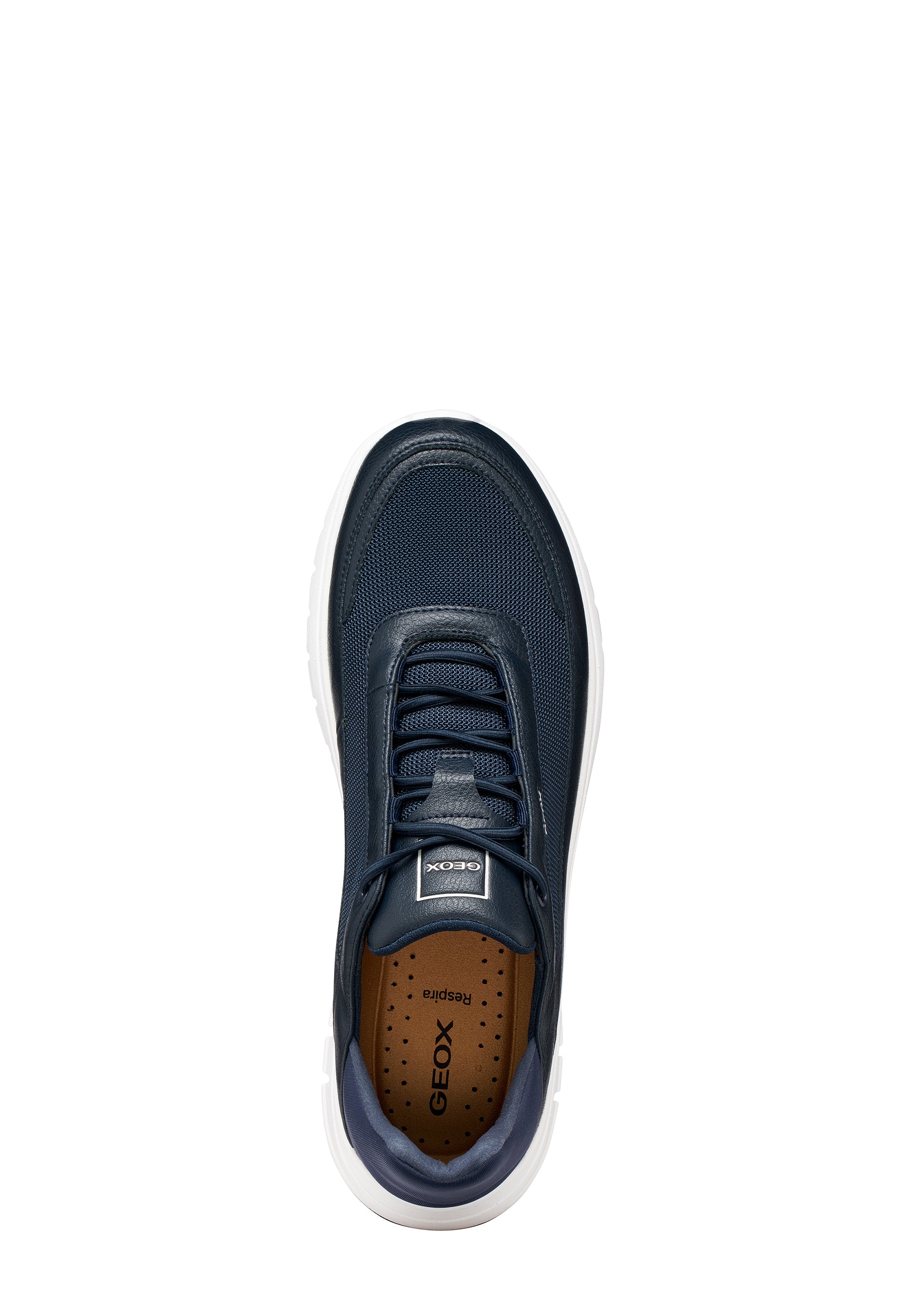 Sneakers Blu Geox