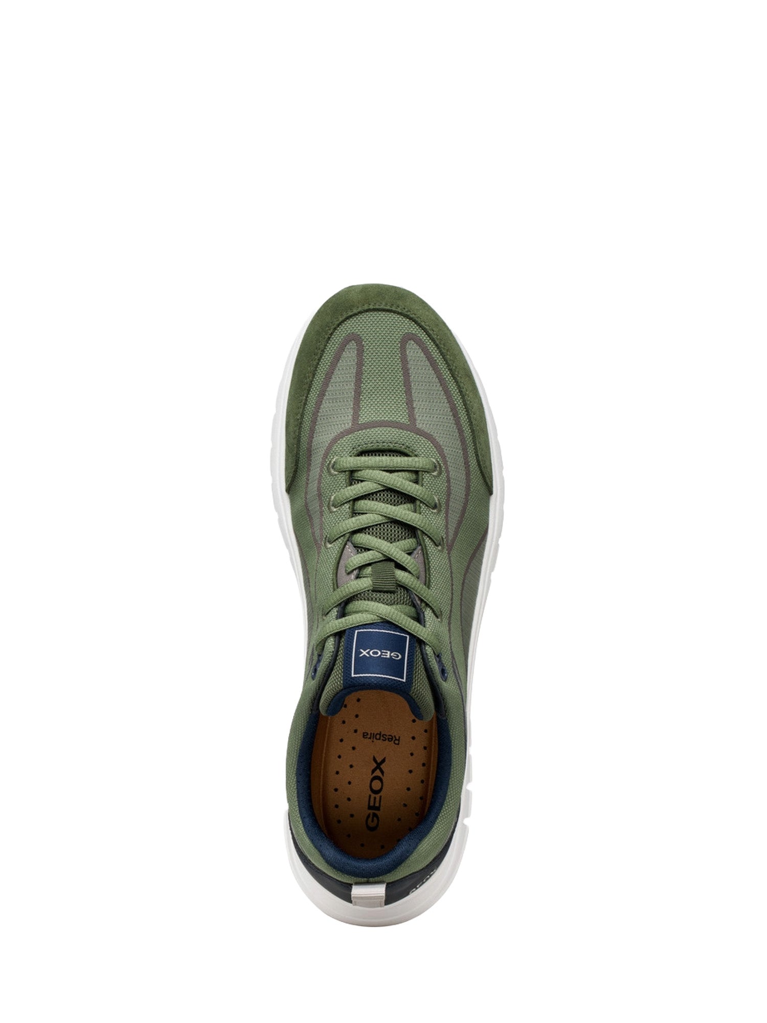 Sneakers Verde Geox