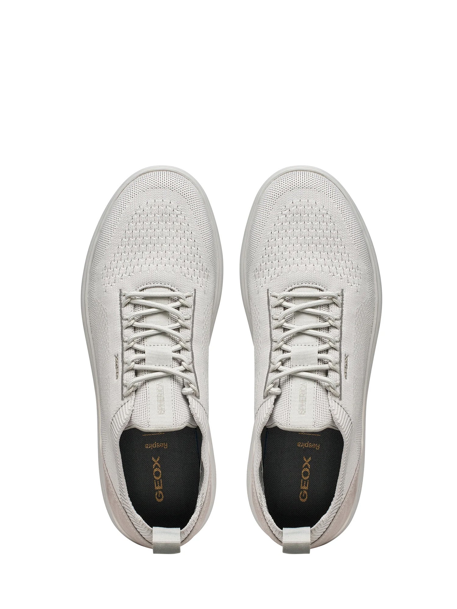 Sneakers Grigio Geox