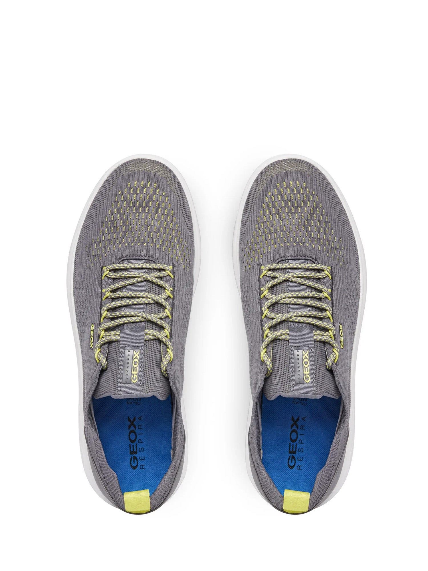 Sneakers Grigio Geox