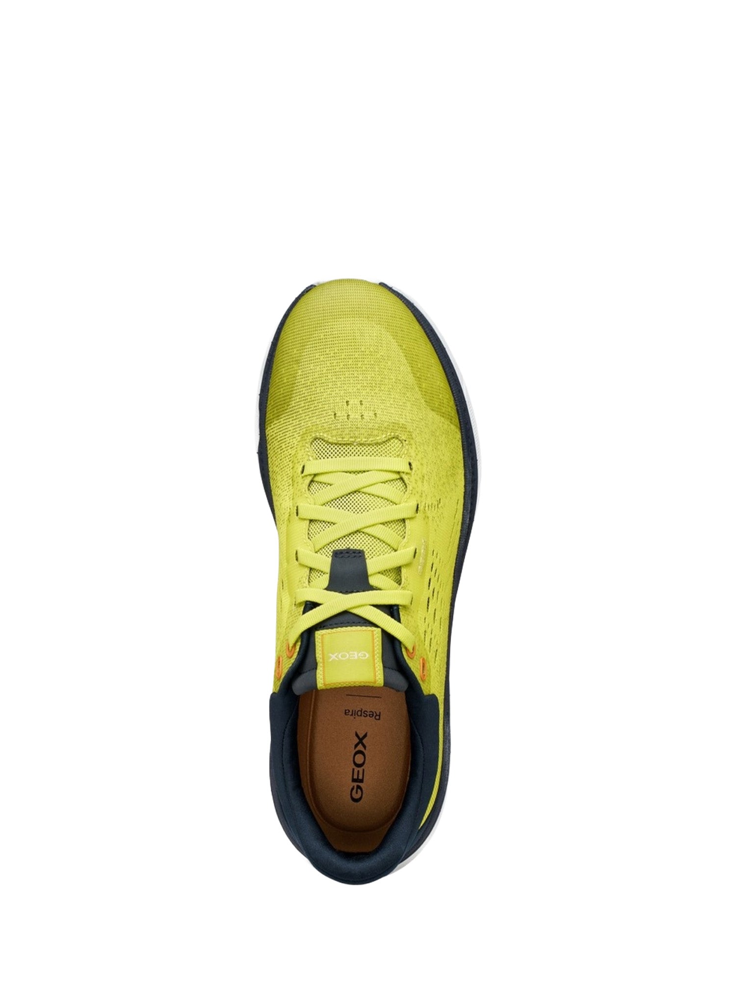Scarpe da ginnastica Giallo Geox