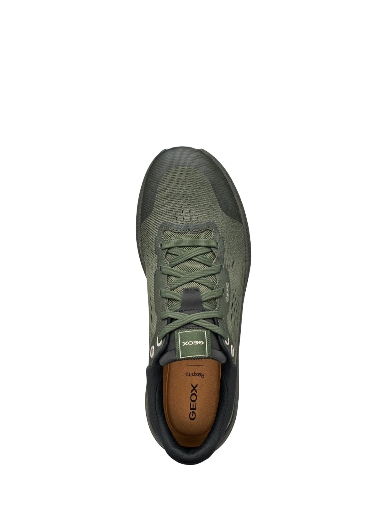 Scarpe da ginnastica Verde Geox