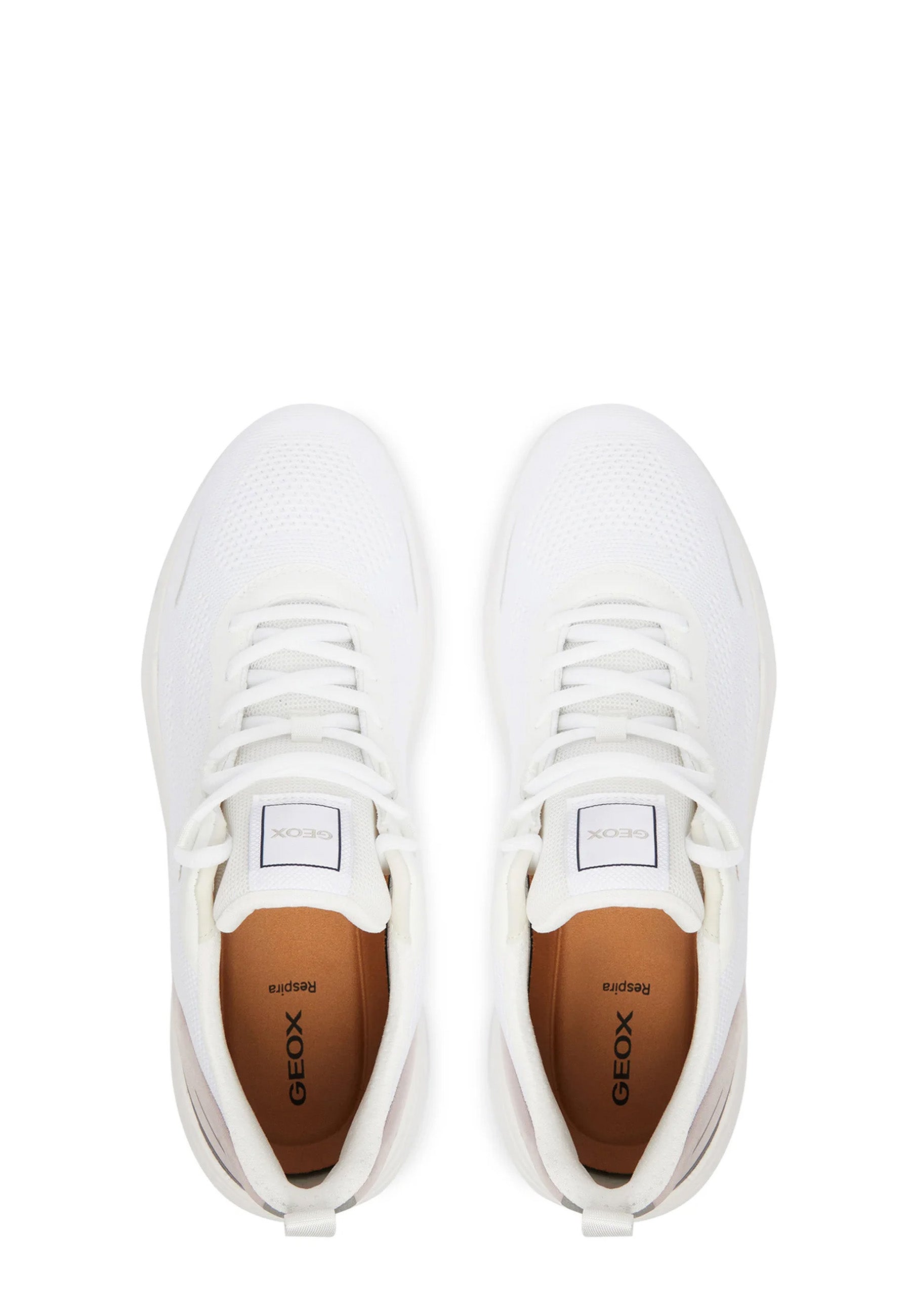 Sneakers Bianco Geox