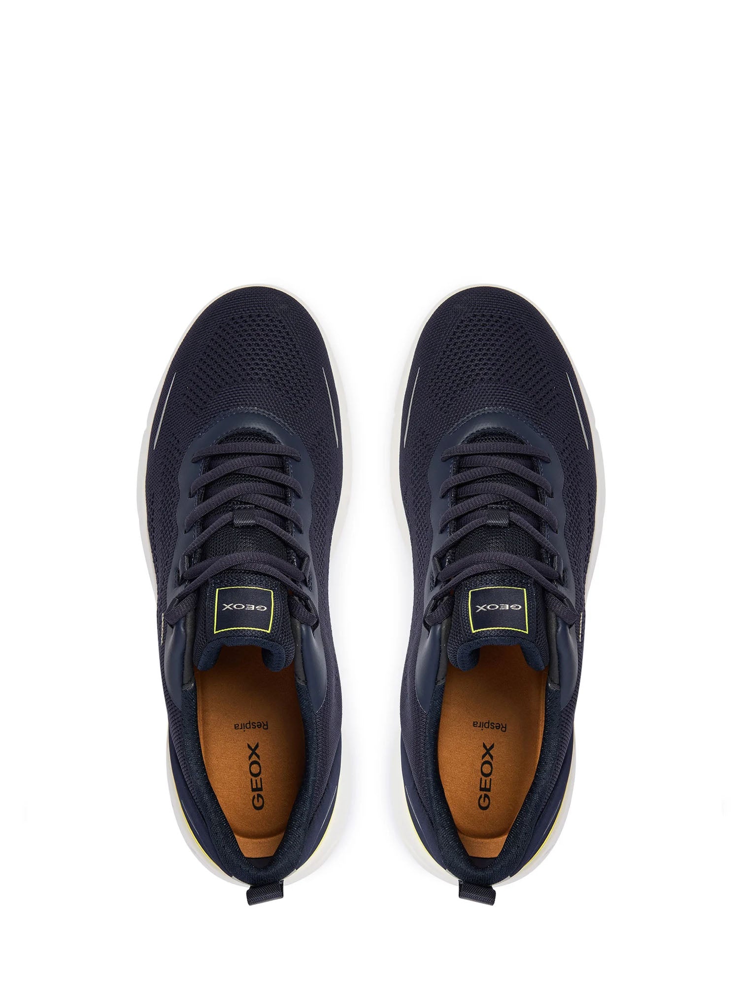 Sneakers Blu Geox