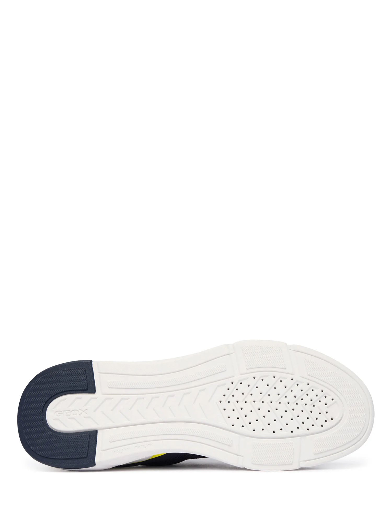 Sneakers Blu Geox