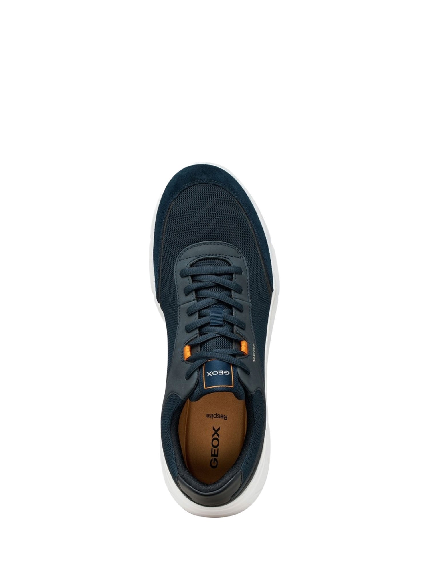 Sneakers Blu Geox