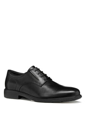 Francesine Nero Geox