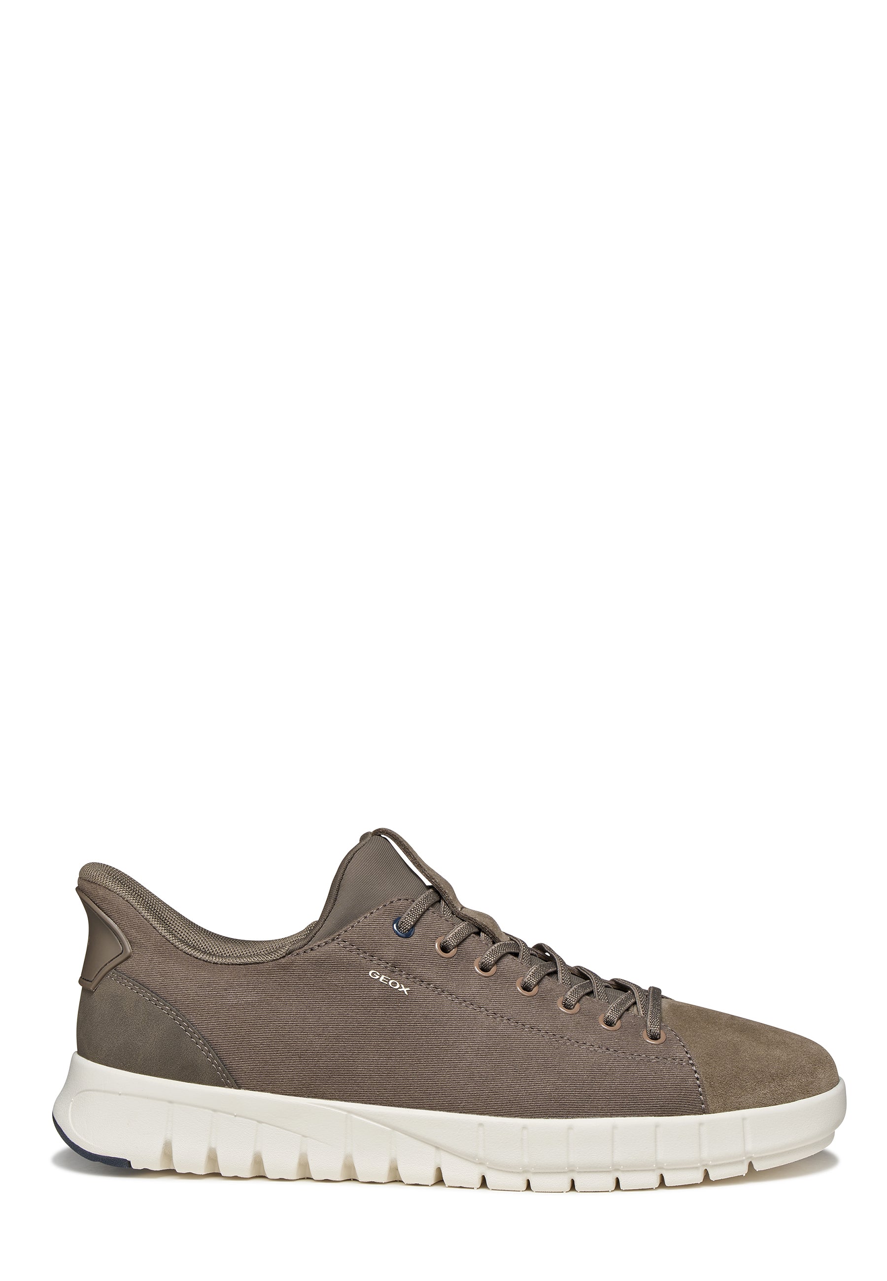 Sneakers Tortora Geox