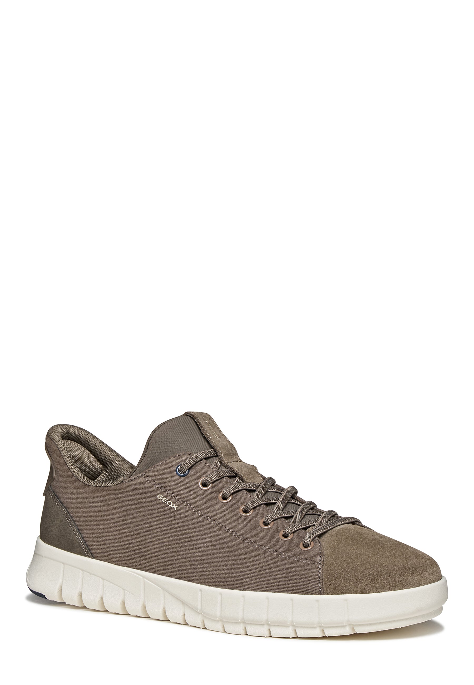 Sneakers Tortora Geox