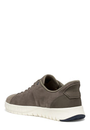 Sneakers Tortora Geox