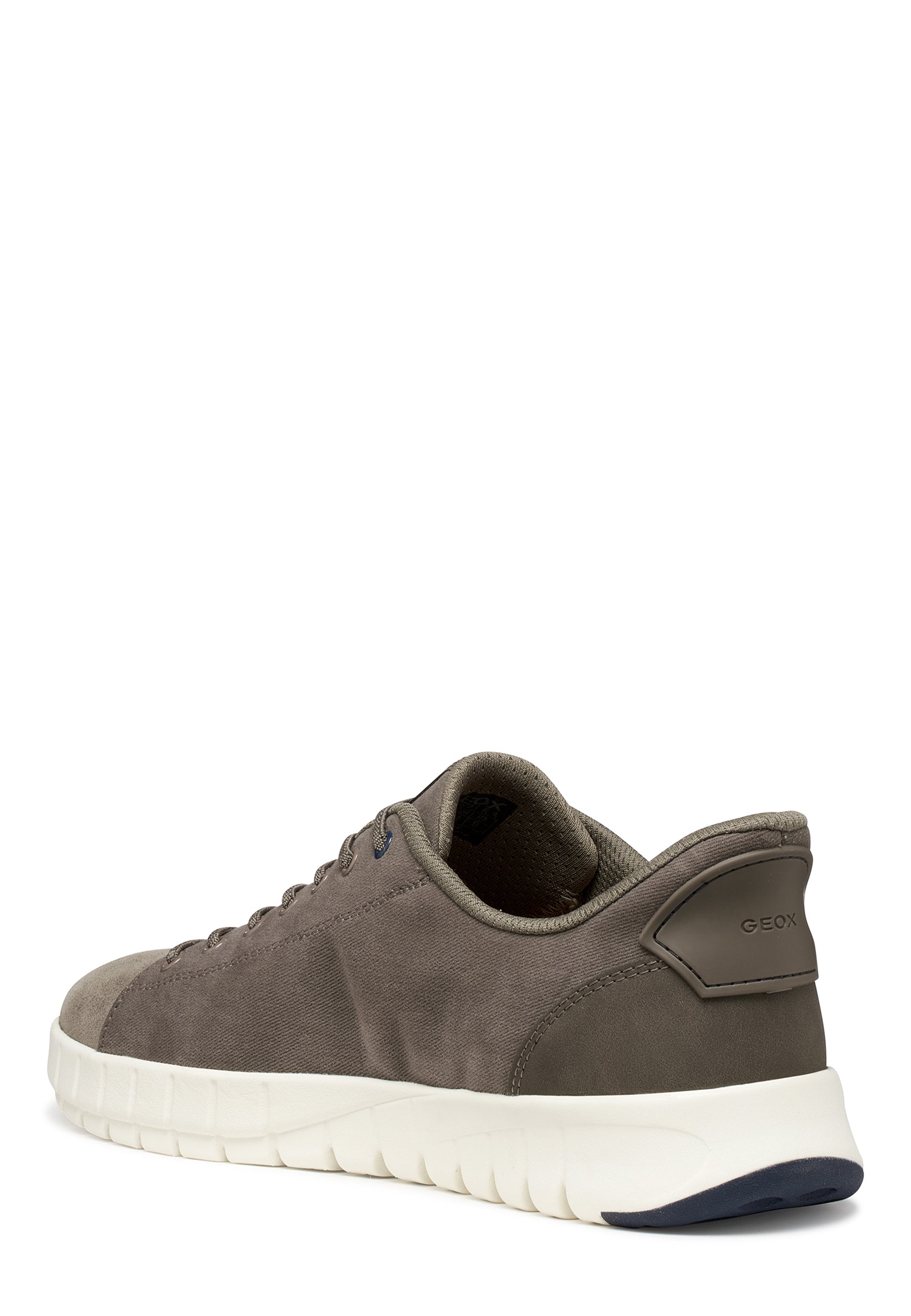 Sneakers Tortora Geox