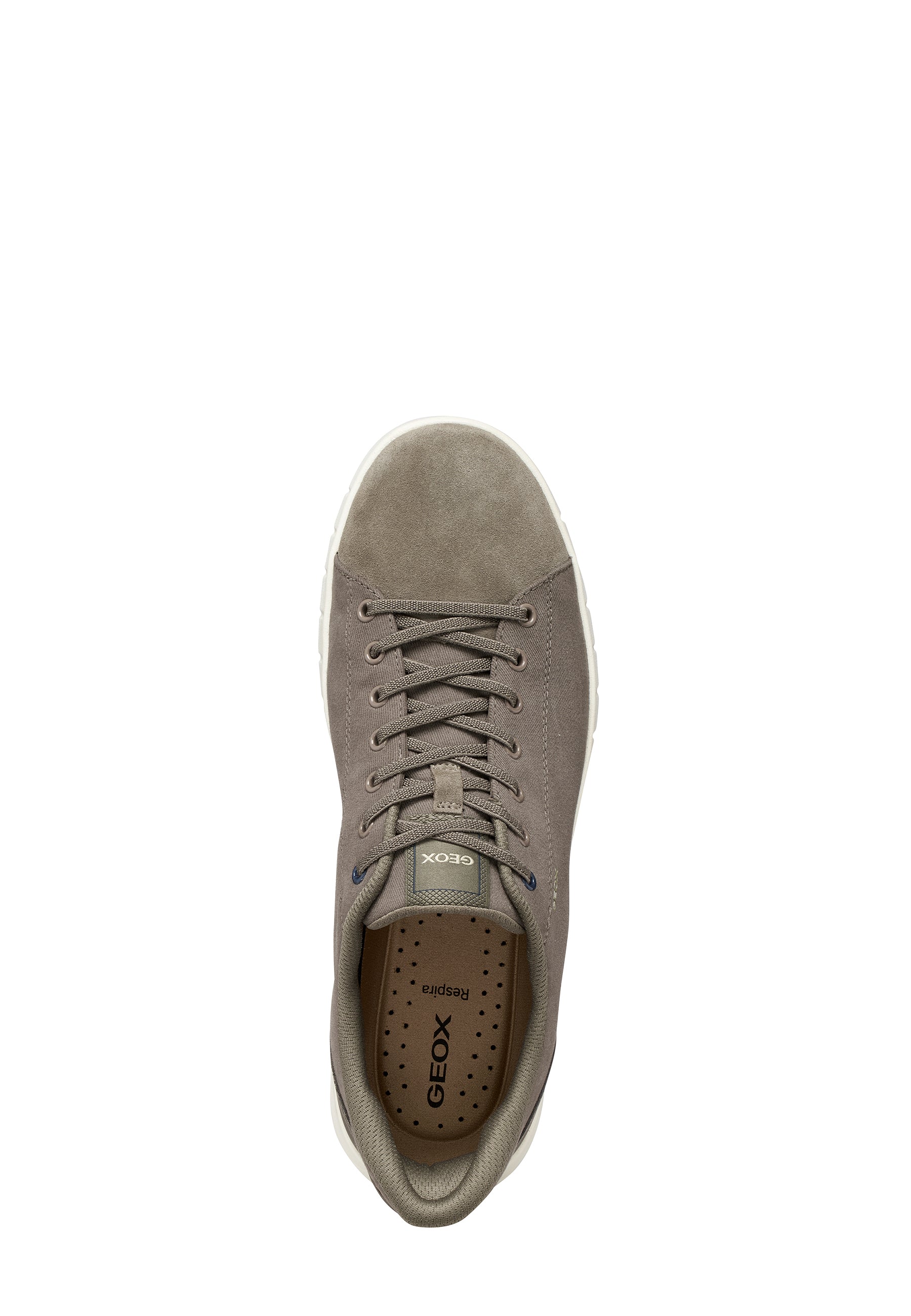 Sneakers Tortora Geox