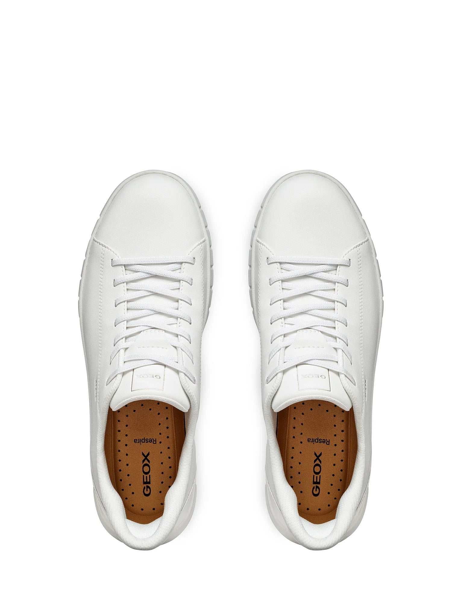 Sneakers Bianco Geox