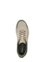Sneakers Verde Geox