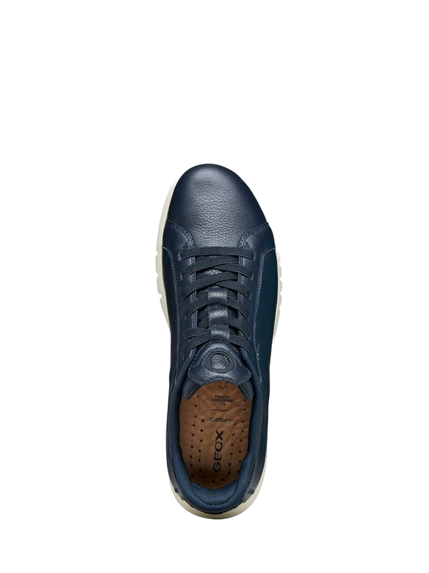 Sneakers Blu Geox