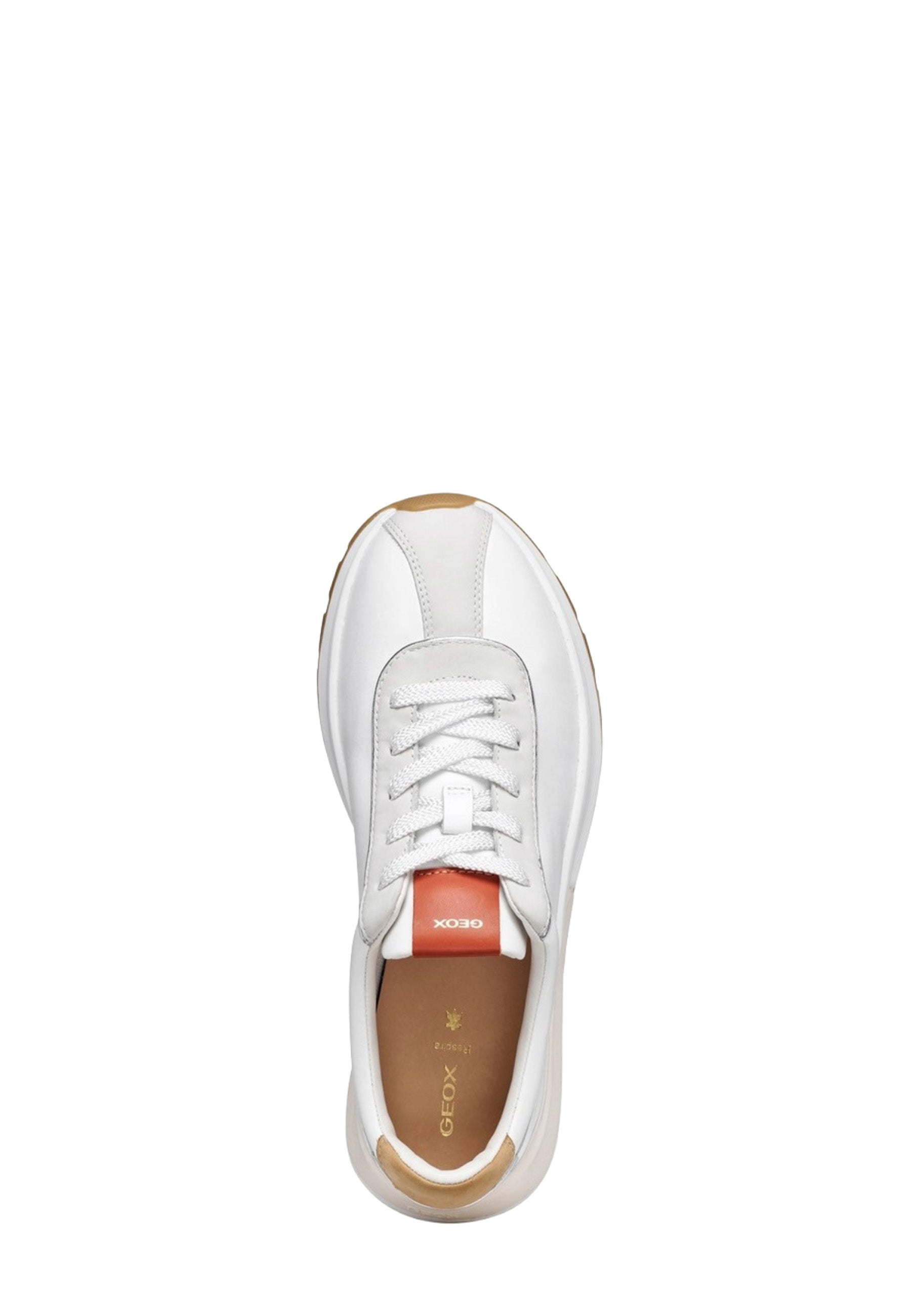Sneakers Bianco Geox