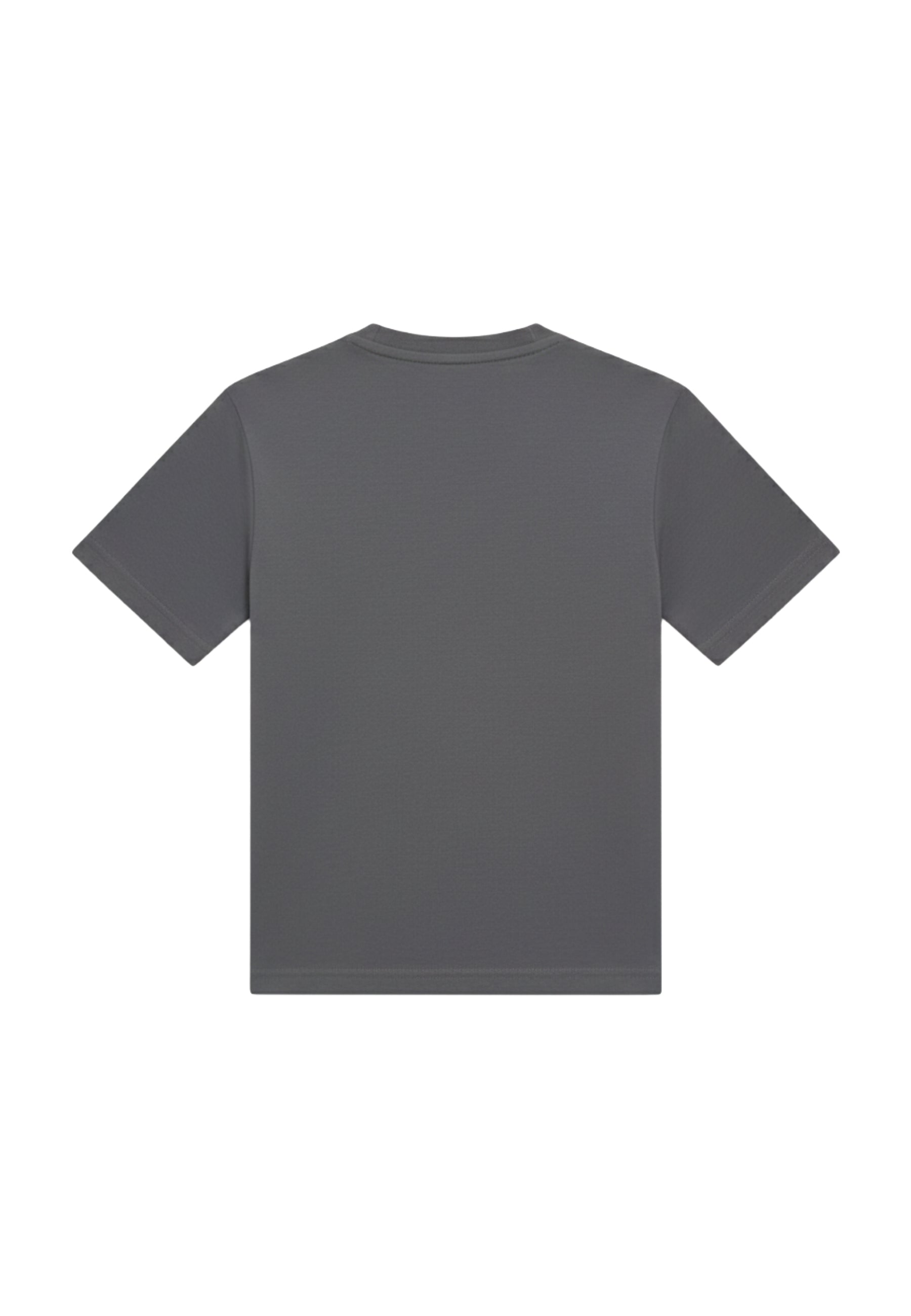 T-shirt Grigio Diadora