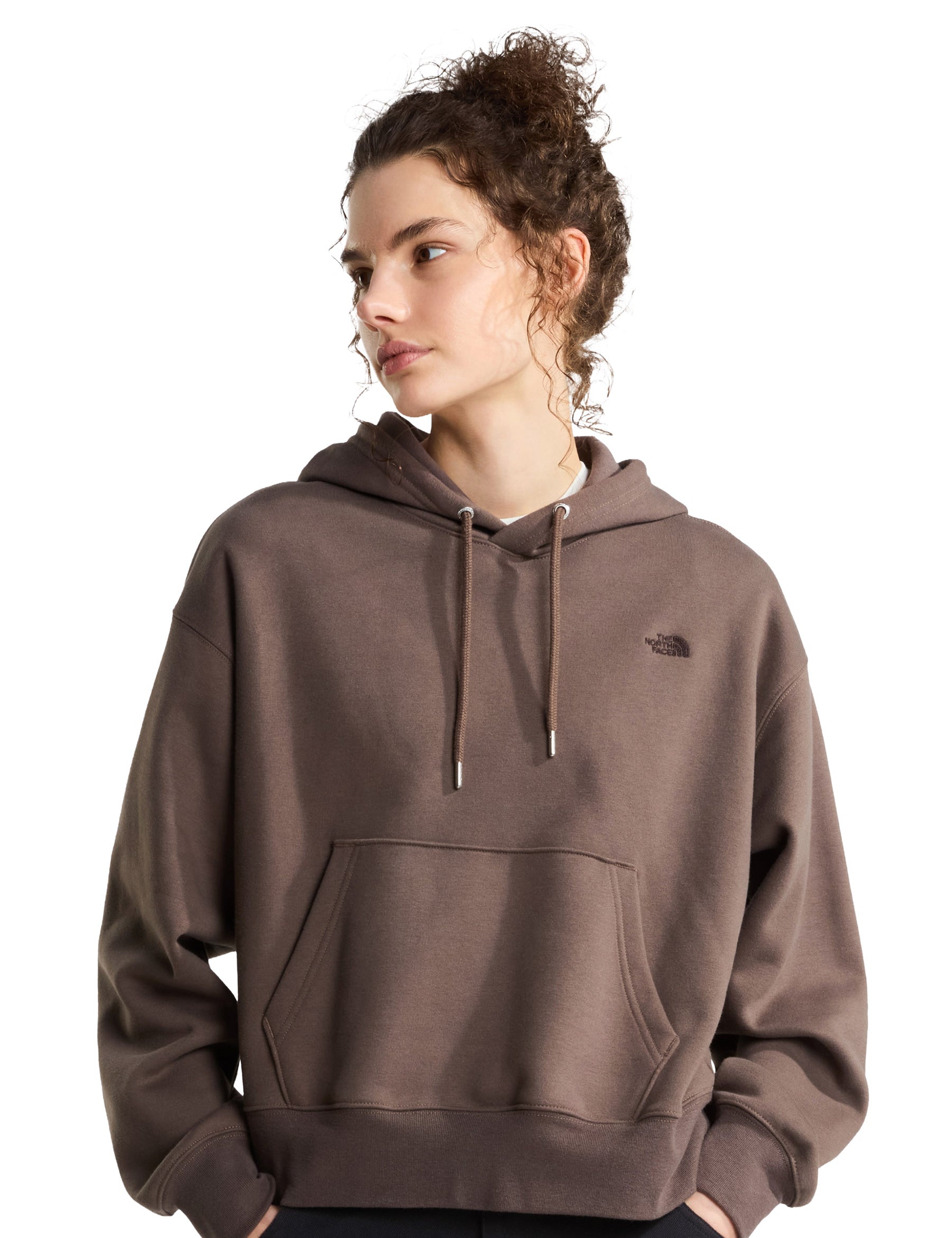 Felpe Marrone The North Face