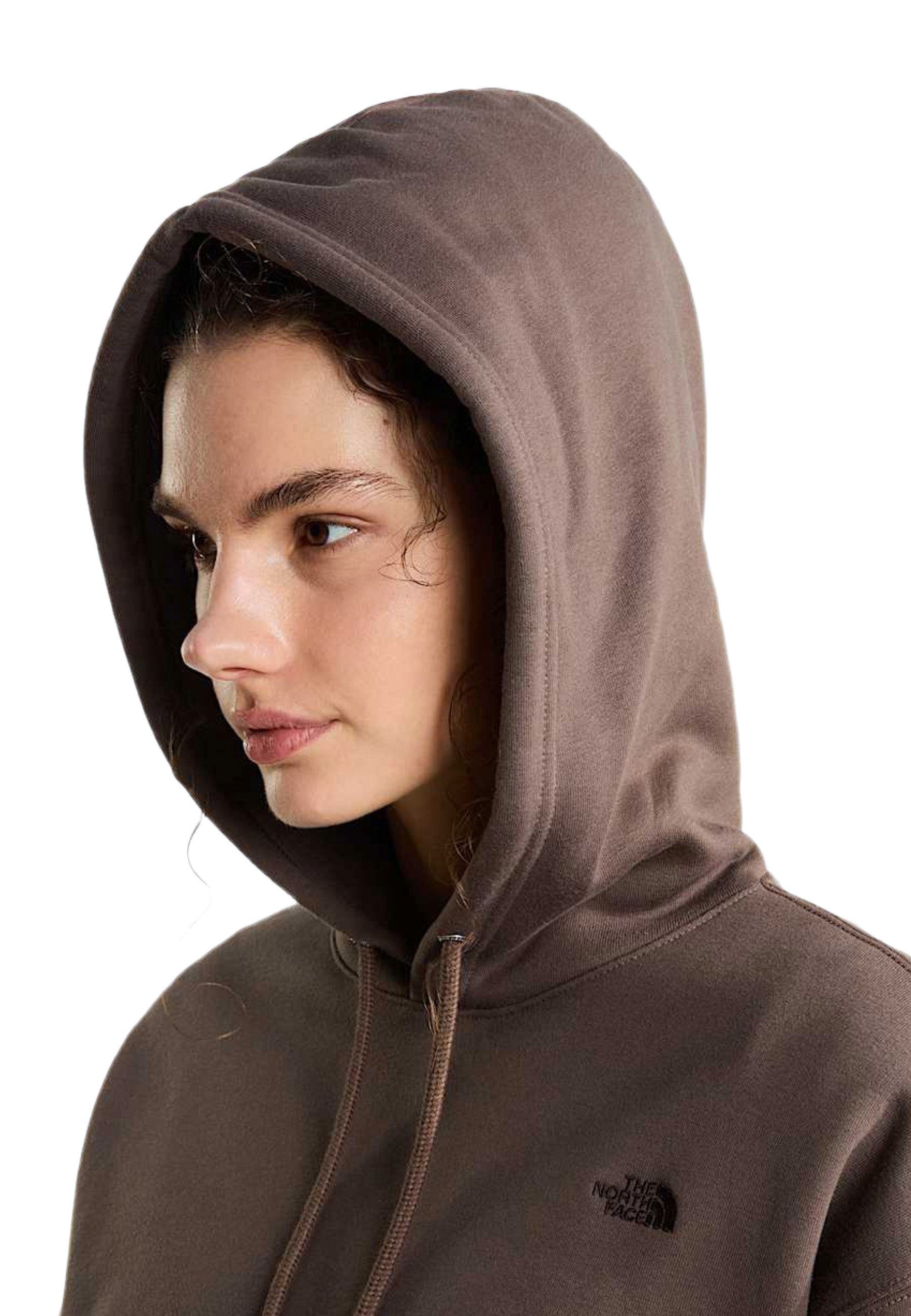Felpe Marrone The North Face