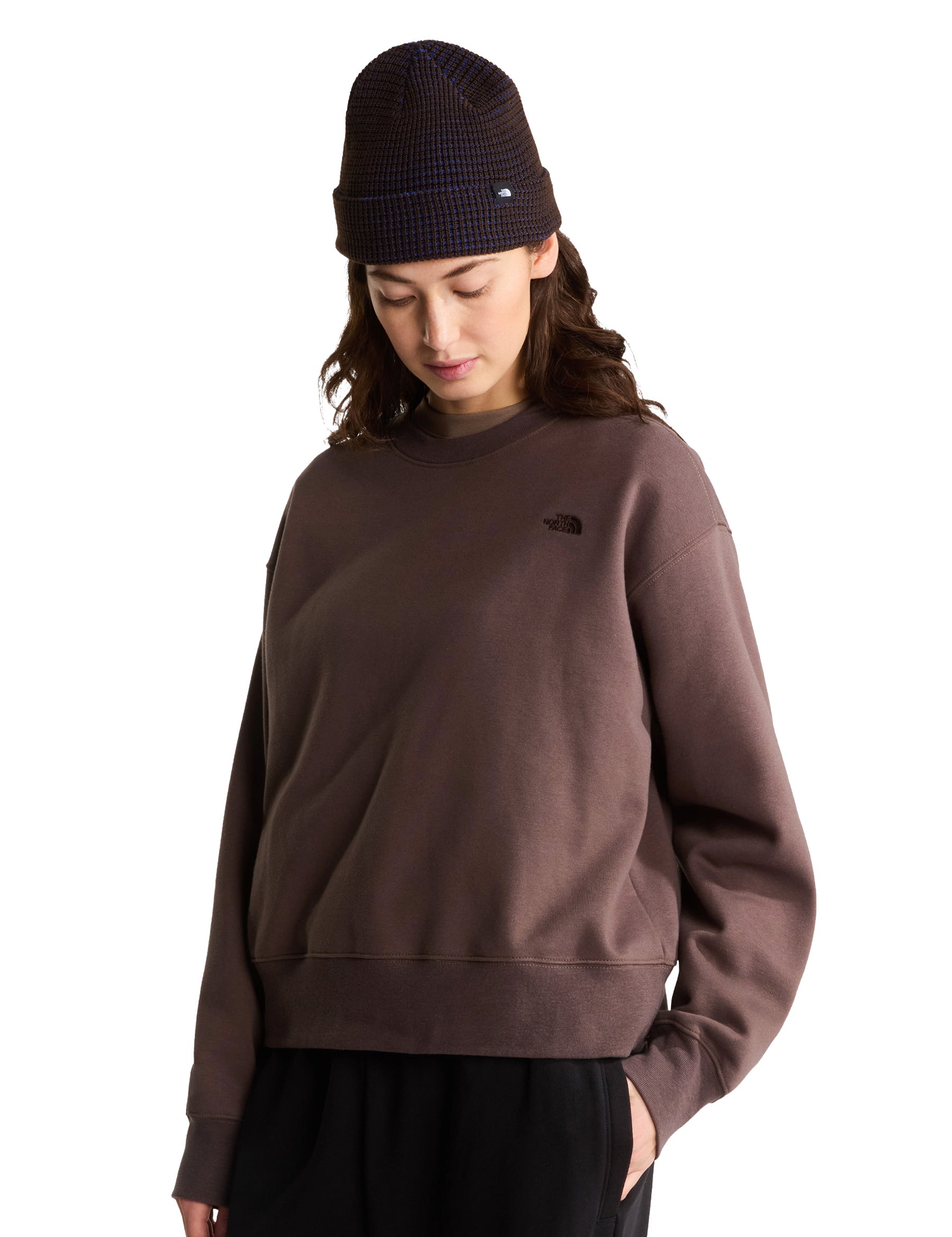Felpe Marrone The North Face