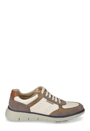 Sneakers Marrone Valleverde